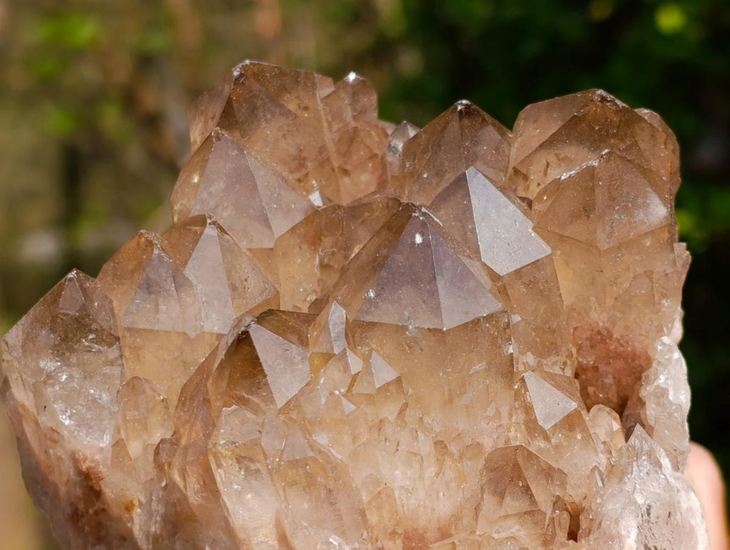 Natural Smokey Citrine Quartz Clusters x 2 From Luena, Congo