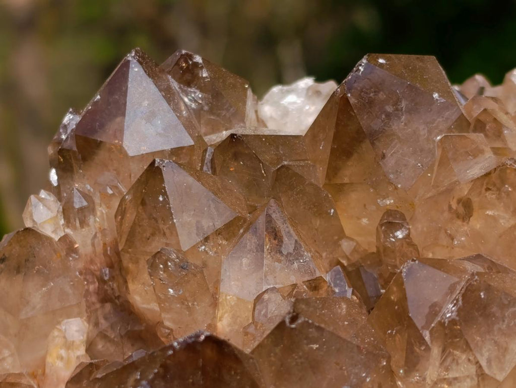 Natural Smokey Citrine Quartz Clusters x 2 From Luena, Congo