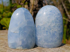 Polished Blue Calcite Standing Display Pieces x 6 From Madagascar