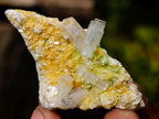 Natural Mix of Mineral Specimens x 34 From Namibia