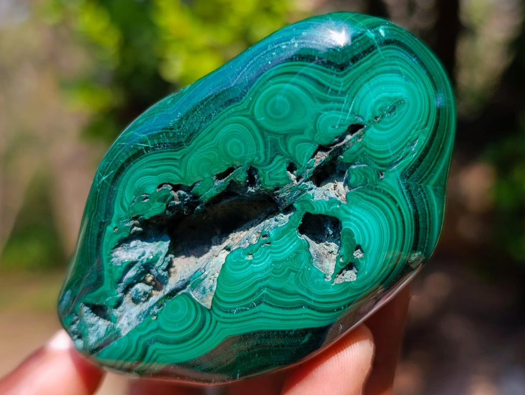 Polished and Natural Flower Banded Malachite Free Forms x 3 From Congo