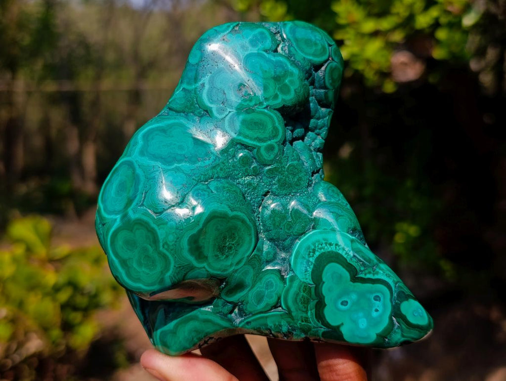 Polished and Natural Flower Banded Malachite Free Forms x 3 From Congo
