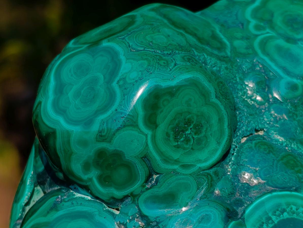 Polished and Natural Flower Banded Malachite Free Forms x 3 From Congo