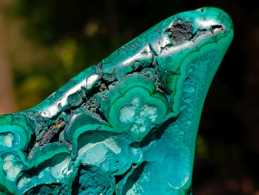 Polished and Natural Flower Banded Malachite Free Forms x 3 From Congo