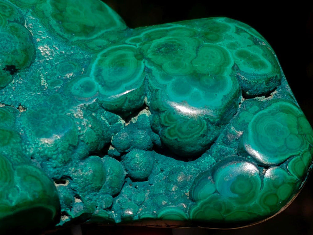Polished and Natural Flower Banded Malachite Free Forms x 3 From Congo