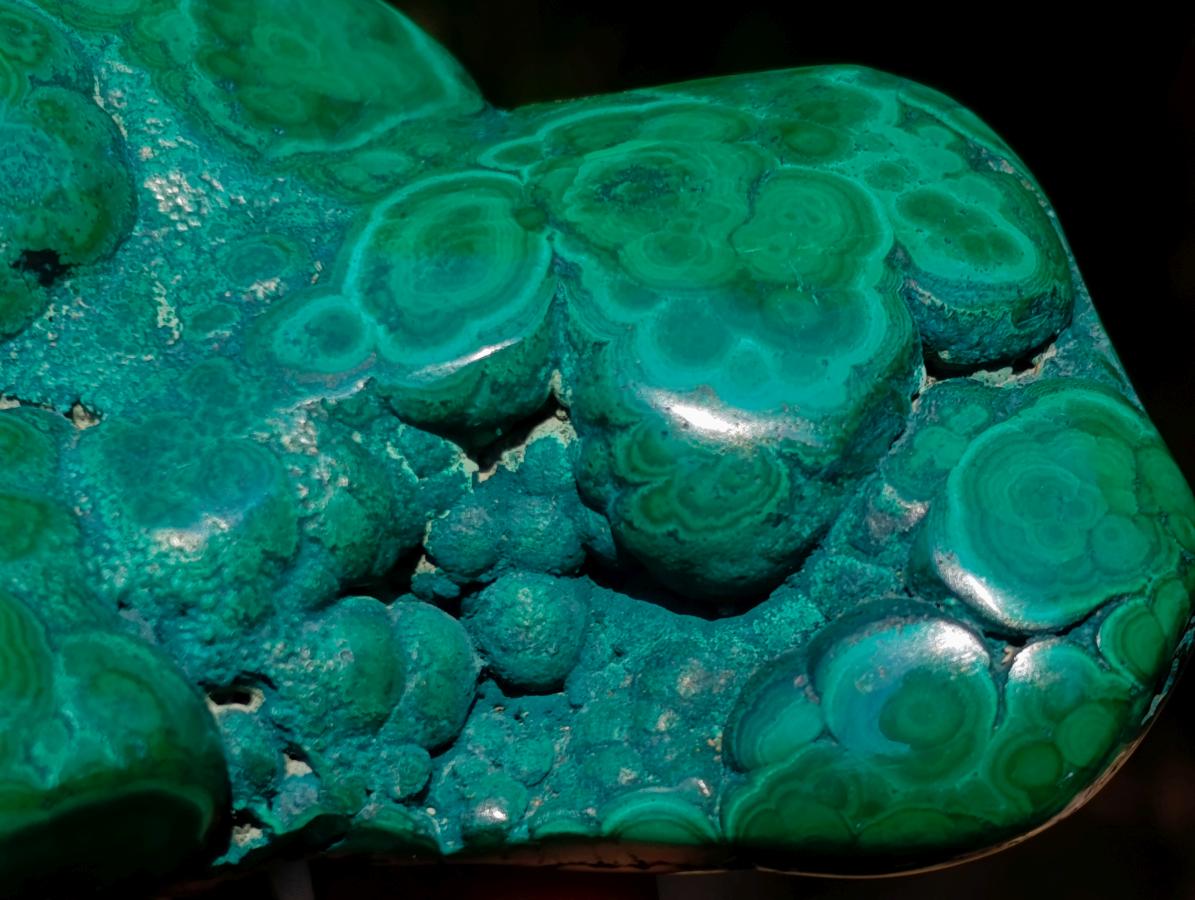 Polished and Natural Flower Banded Malachite Free Forms x 3 From Congo