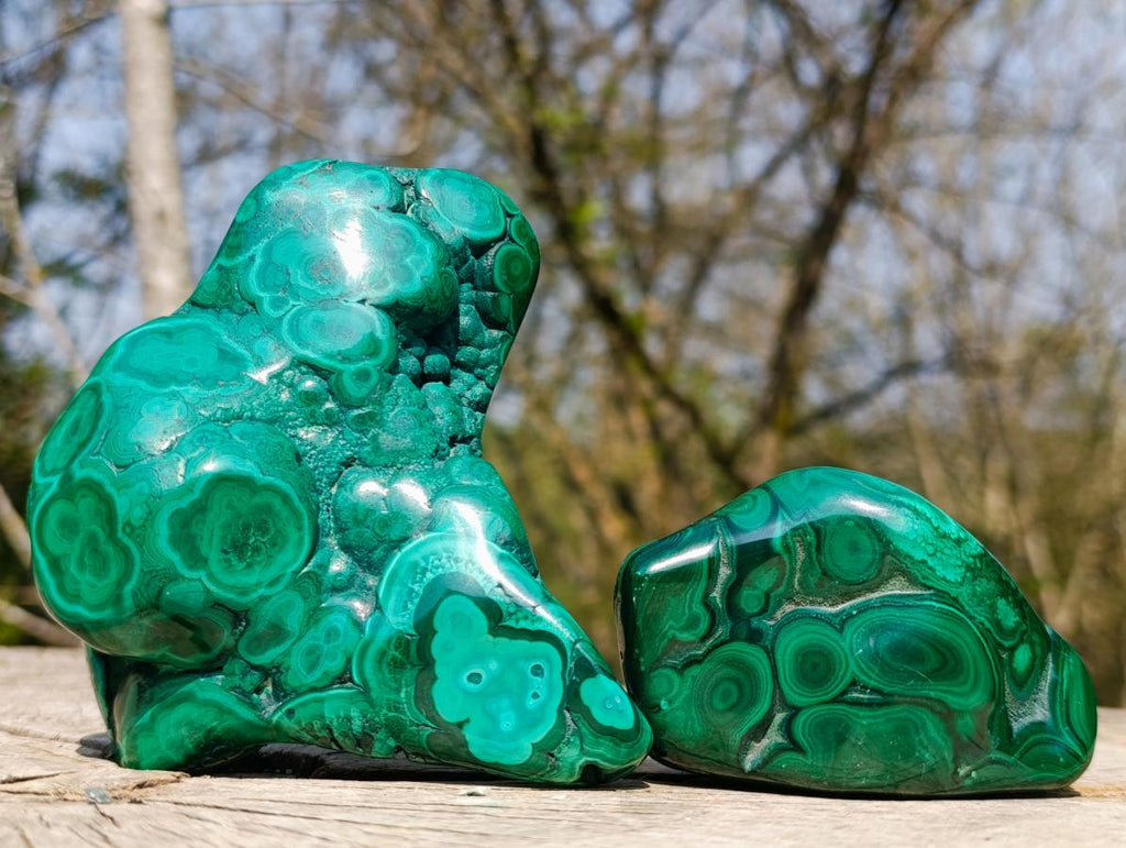 Polished and Natural Flower Banded Malachite Free Forms x 3 From Congo