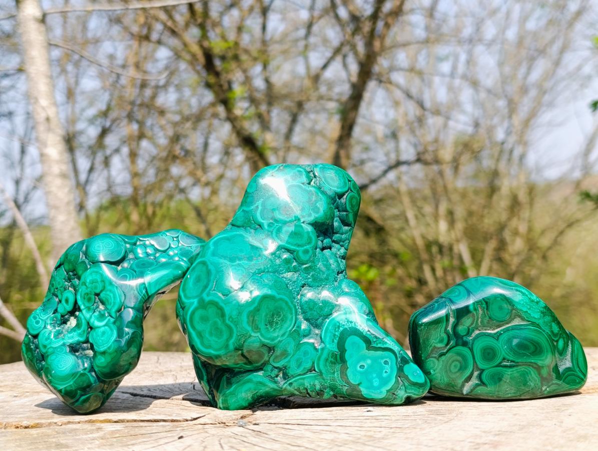 Polished and Natural Flower Banded Malachite Free Forms x 3 From Congo