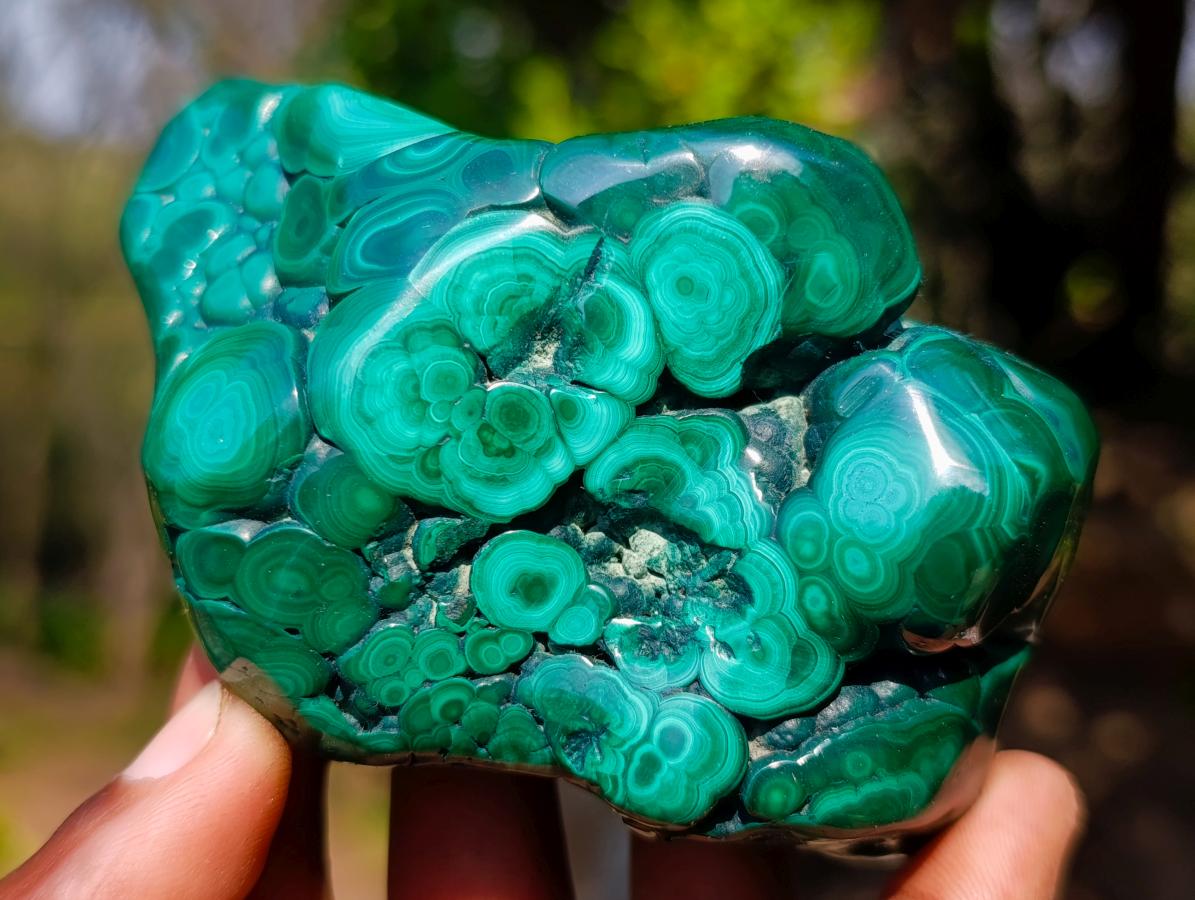 Polished and Natural Flower Banded Malachite Free Forms x 3 From Congo