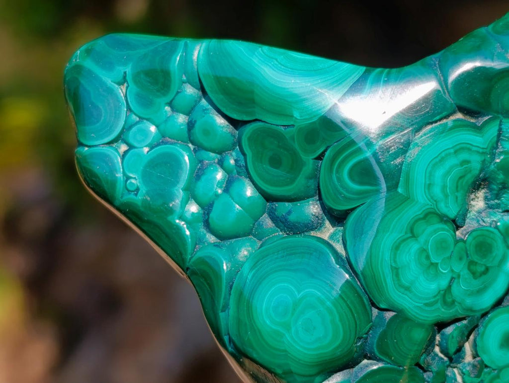 Polished and Natural Flower Banded Malachite Free Forms x 3 From Congo