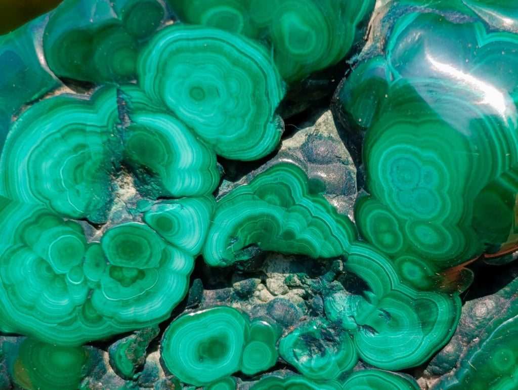 Polished and Natural Flower Banded Malachite Free Forms x 3 From Congo