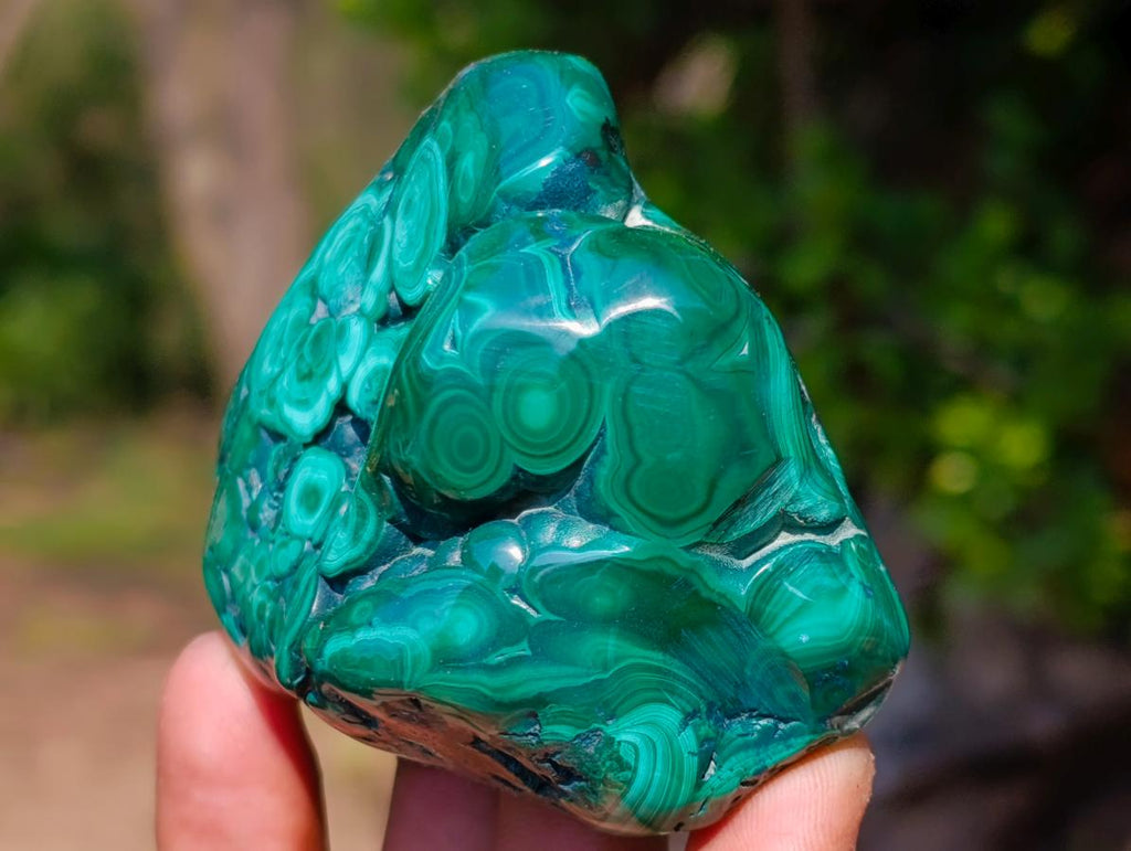 Polished and Natural Flower Banded Malachite Free Forms x 3 From Congo