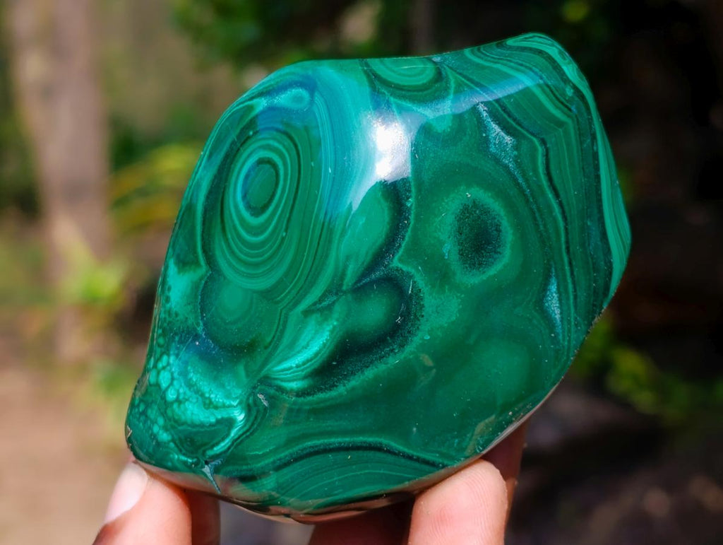 Polished and Natural Flower Banded Malachite Free Forms x 3 From Congo