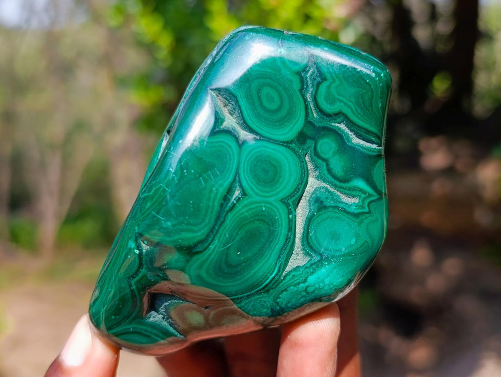 Polished and Natural Flower Banded Malachite Free Forms x 3 From Congo