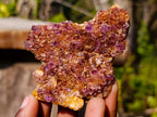 Natural Dark Purple Amethyst Clusters x 24 From Boekenhouthoek, South Africa