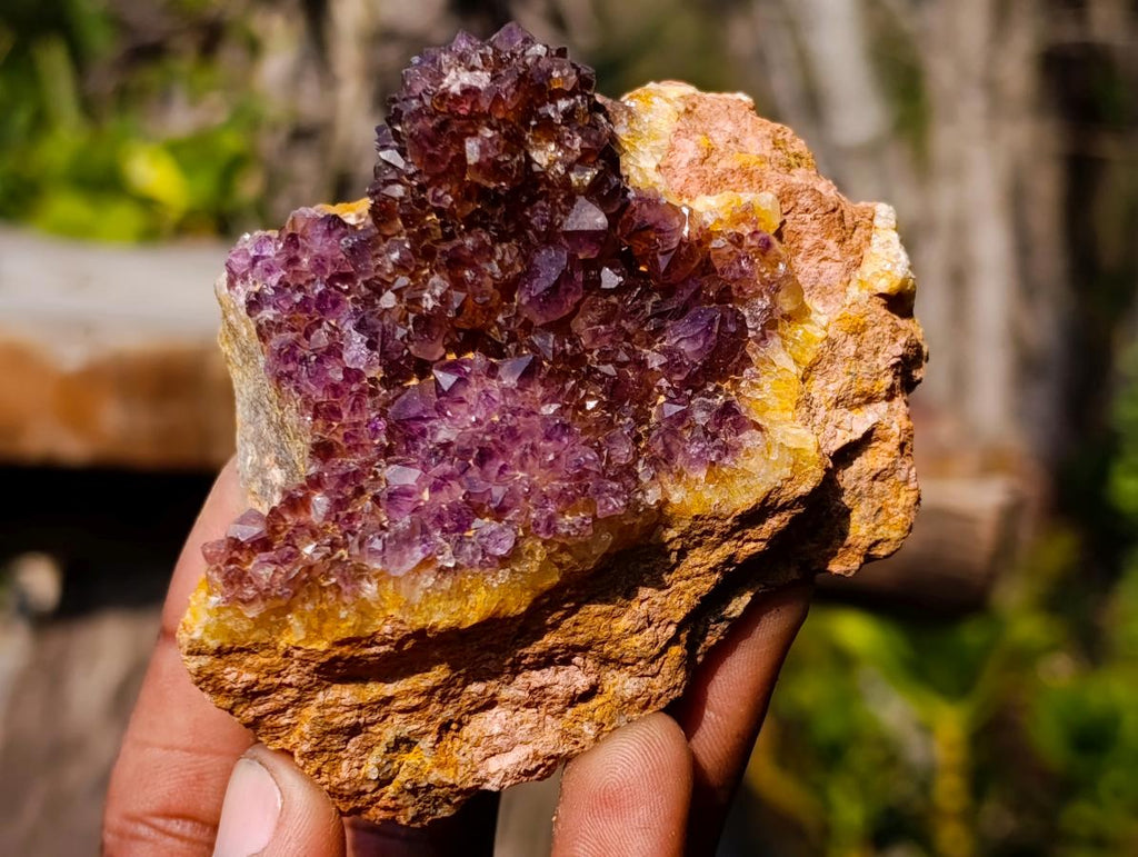 Natural Dark Purple Amethyst Clusters x 24 From Boekenhouthoek, South Africa