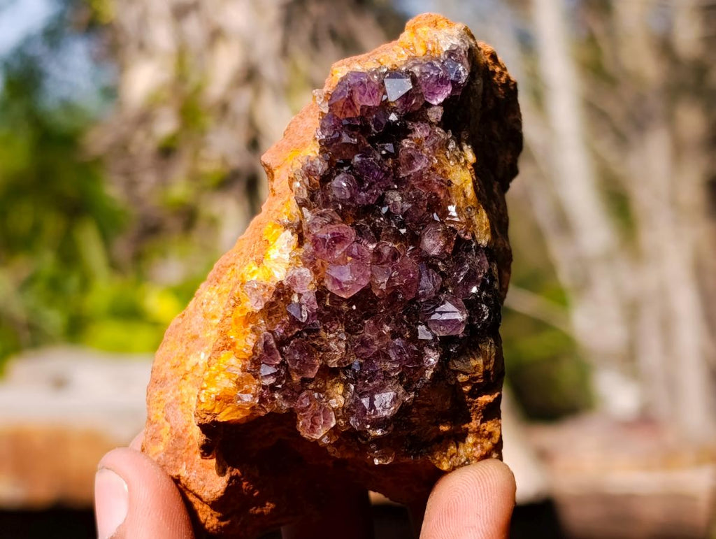 Natural Dark Purple Amethyst Clusters x 24 From Boekenhouthoek, South Africa