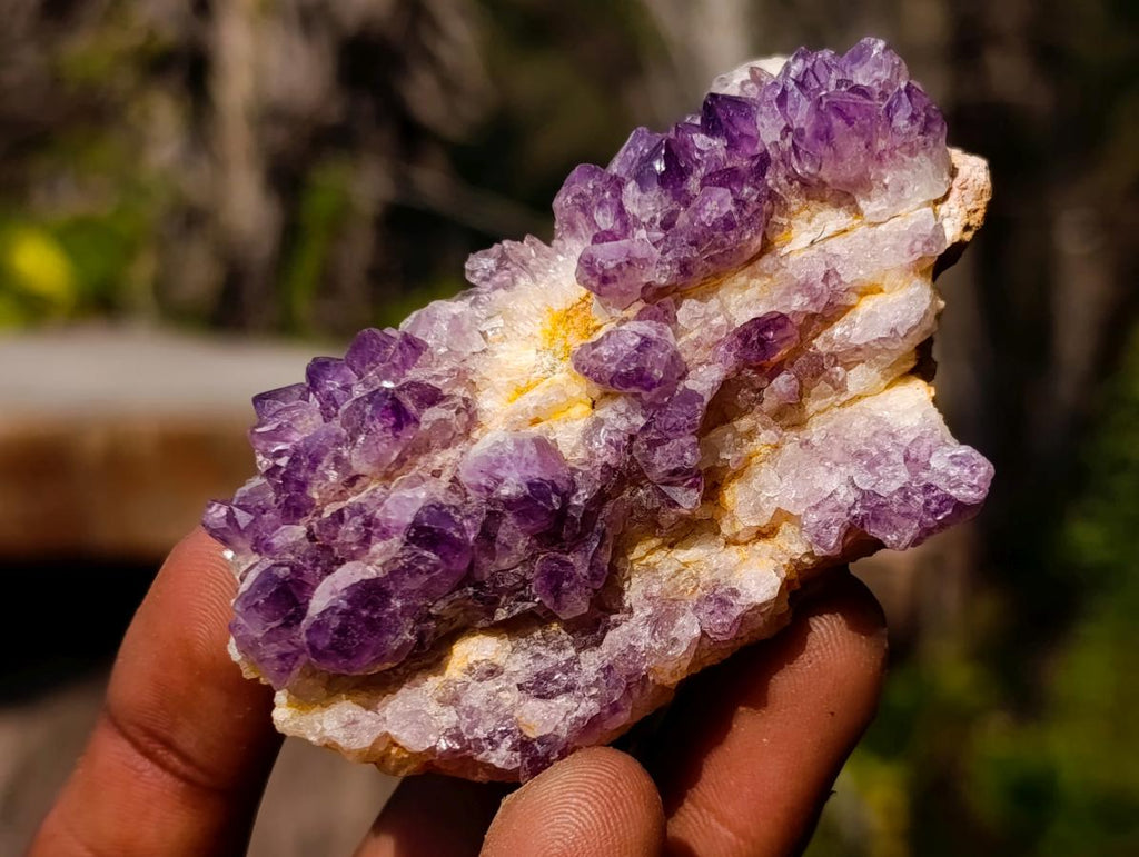 Natural Dark Purple Amethyst Clusters x 24 From Boekenhouthoek, South Africa