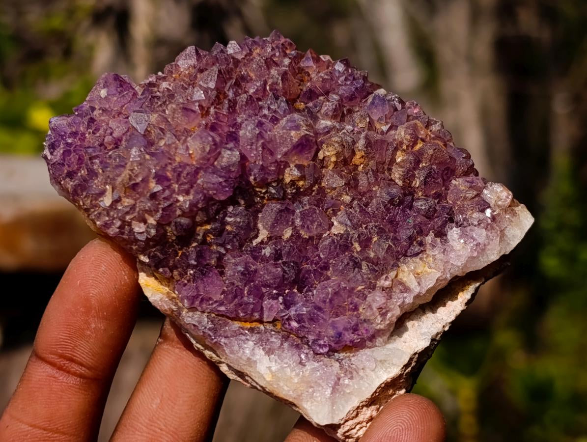 Natural Dark Purple Amethyst Clusters x 24 From Boekenhouthoek, South Africa