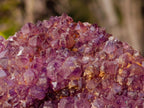 Natural Dark Purple Amethyst Clusters x 24 From Boekenhouthoek, South Africa