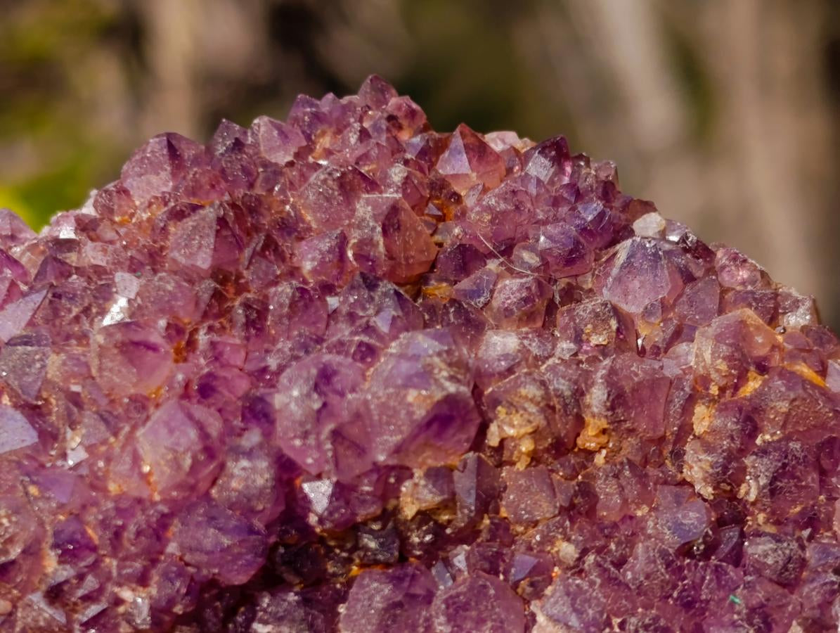 Natural Dark Purple Amethyst Clusters x 24 From Boekenhouthoek, South Africa
