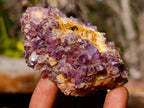Natural Dark Purple Amethyst Clusters x 24 From Boekenhouthoek, South Africa
