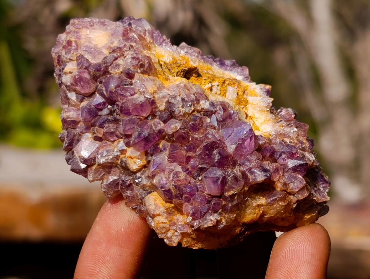 Natural Dark Purple Amethyst Clusters x 24 From Boekenhouthoek, South Africa