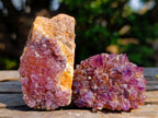 Natural Dark Purple Amethyst Clusters x 24 From Boekenhouthoek, South Africa