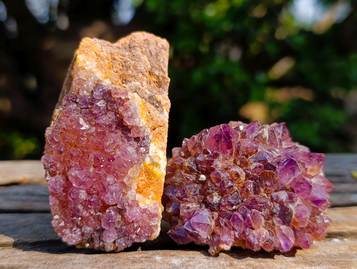 Natural Dark Purple Amethyst Clusters x 24 From Boekenhouthoek, South Africa