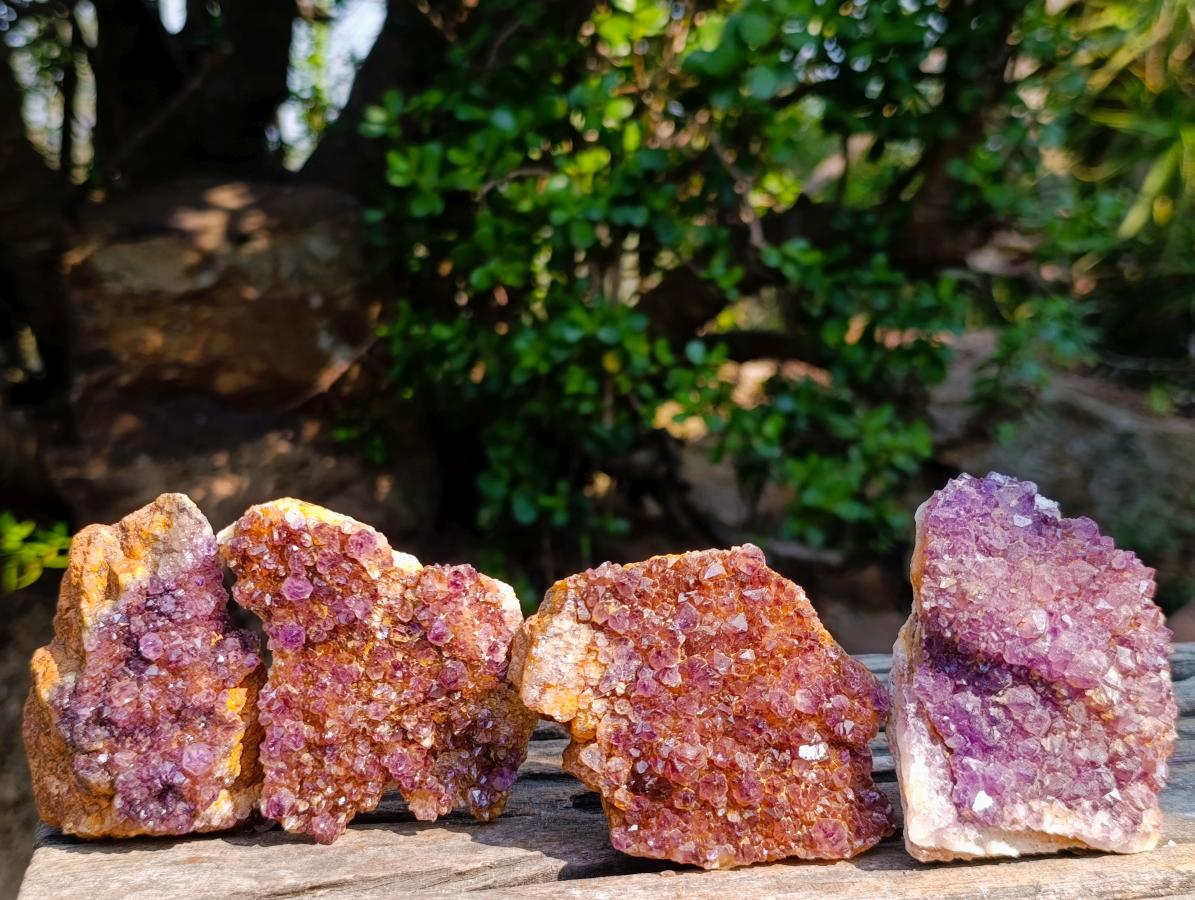 Natural Dark Purple Amethyst Clusters x 24 From Boekenhouthoek, South Africa