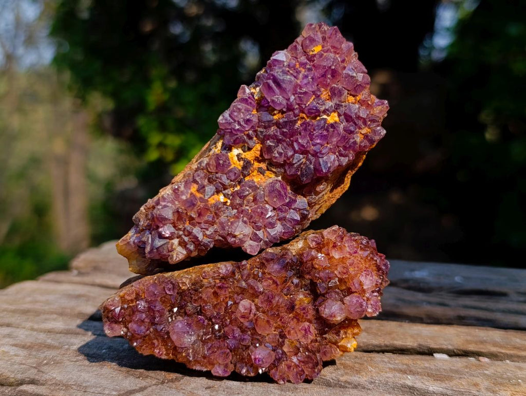 Natural Dark Purple Amethyst Clusters x 24 From Boekenhouthoek, South Africa