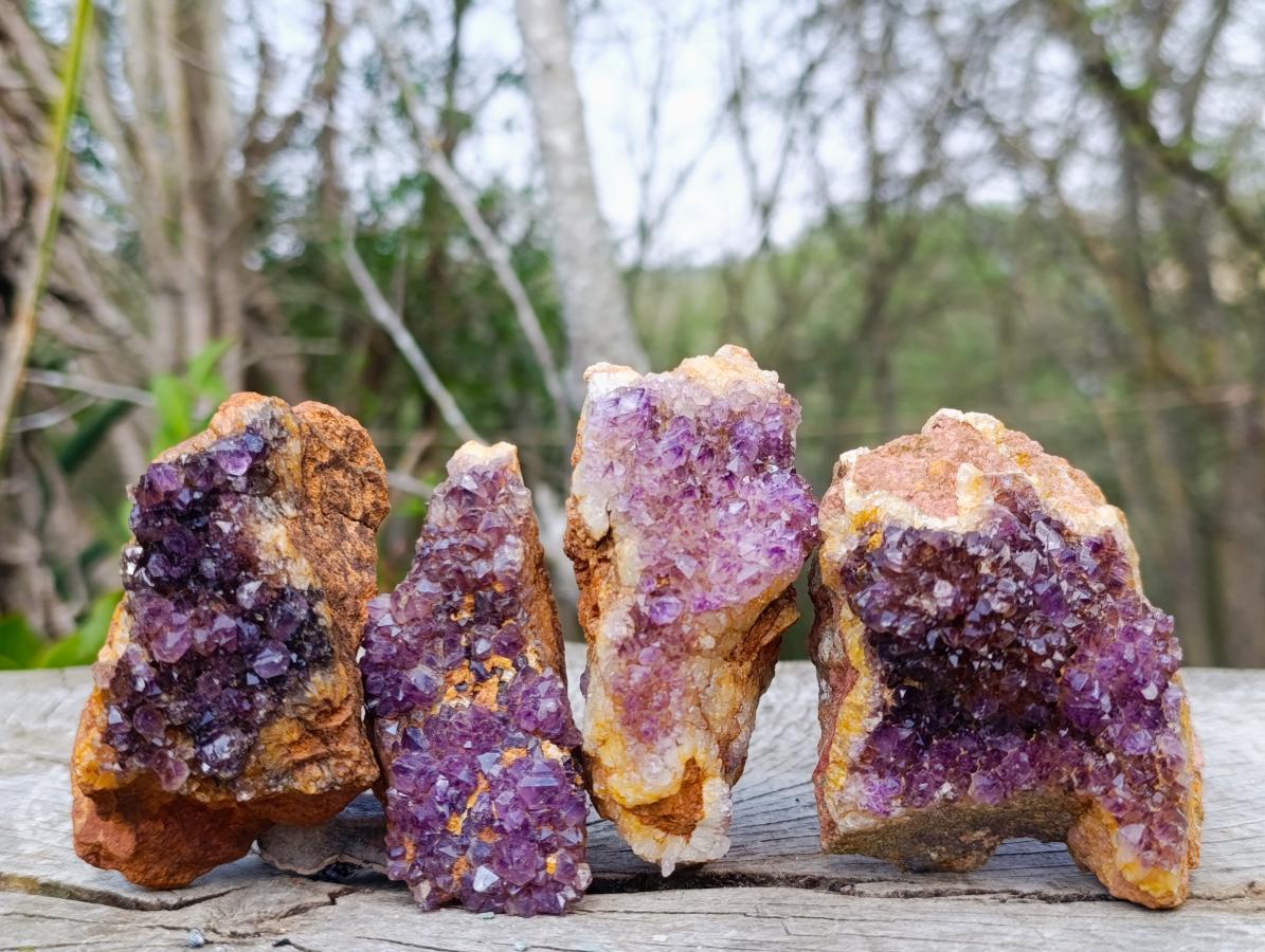 Natural Dark Purple Amethyst Clusters x 24 From Boekenhouthoek, South Africa