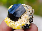Natural Single Black Tourmaline Crystals x 70 From Erongo, Namibia