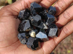 Natural Single Black Tourmaline Crystals x 70 From Erongo, Namibia