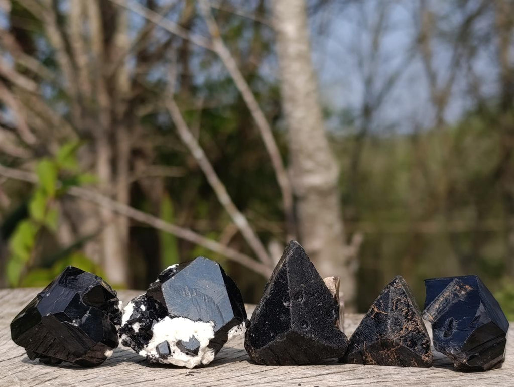 Natural Single Black Tourmaline Crystals x 70 From Erongo, Namibia
