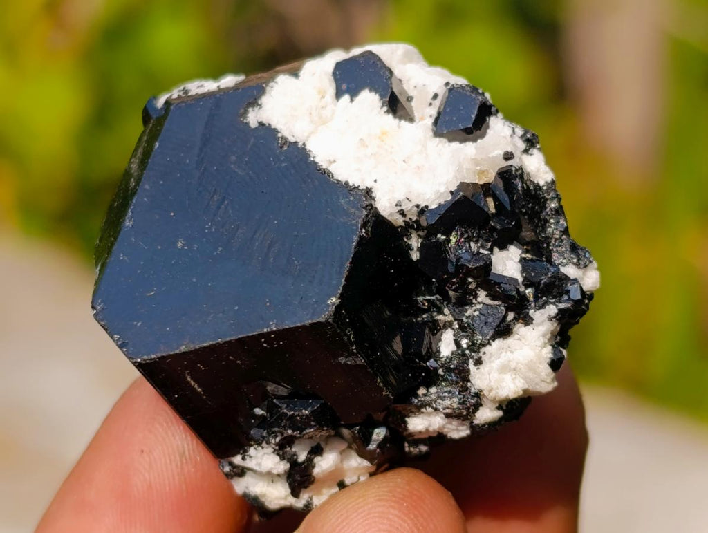 Natural Single Black Tourmaline Crystals x 70 From Erongo, Namibia