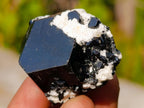 Natural Single Black Tourmaline Crystals x 70 From Erongo, Namibia