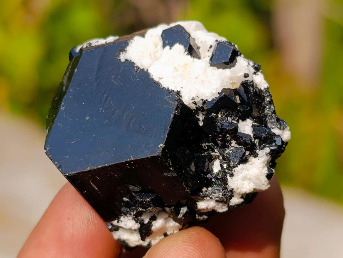 Natural Single Black Tourmaline Crystals x 70 From Erongo, Namibia