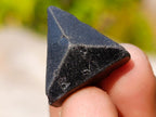 Natural Single Black Tourmaline Crystals x 70 From Erongo, Namibia