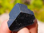 Natural Single Black Tourmaline Crystals x 70 From Erongo, Namibia