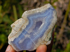 Polished One Side Blue Lace Agate Geodes x 12 From Nsanje, Malawi