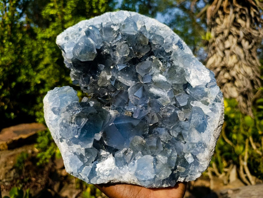 Natural Large Blue Celestite Specimen x 1 From Sakoany, Madagascar