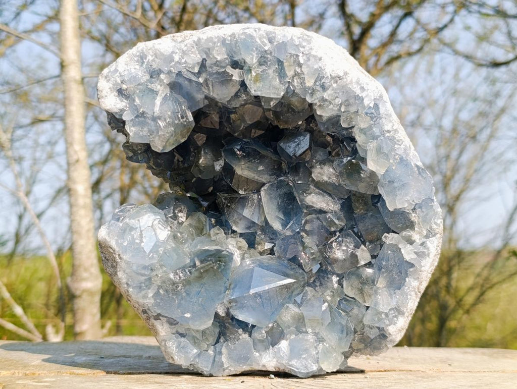 Natural Large Blue Celestite Specimen x 1 From Sakoany, Madagascar