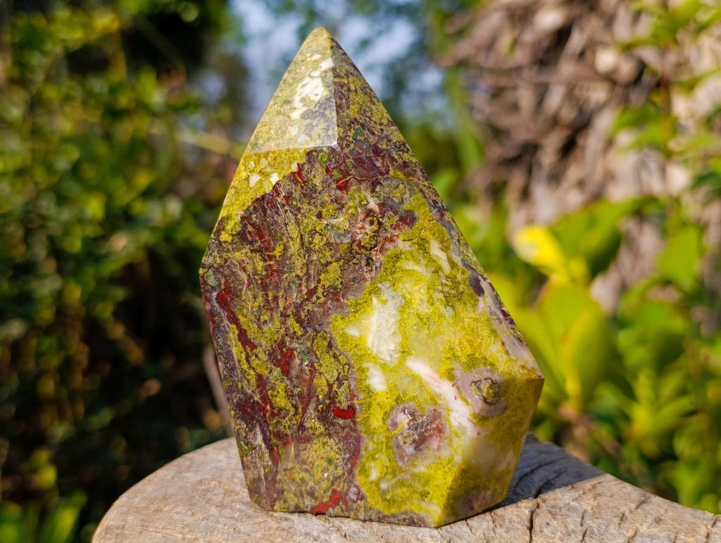 Polished Bastite Dragonsblood Stone Display Crystals x 2 From Tshipise, South Africa