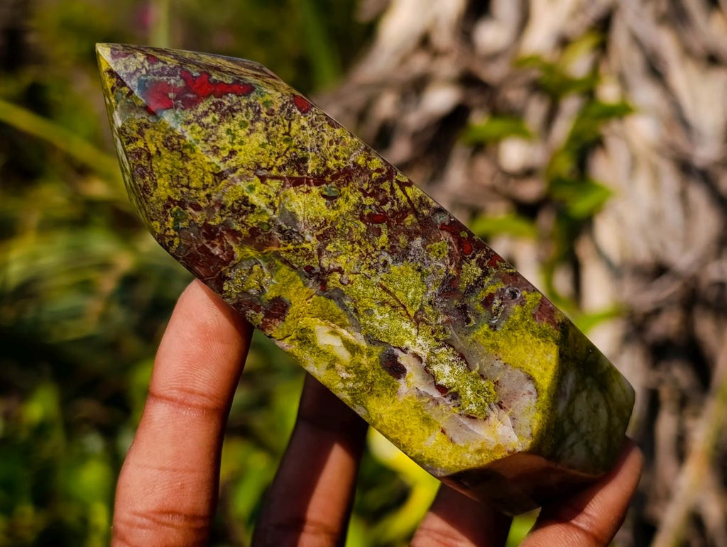 Polished Bastite Dragonsblood Stone Display Crystals x 2 From Tshipise, South Africa