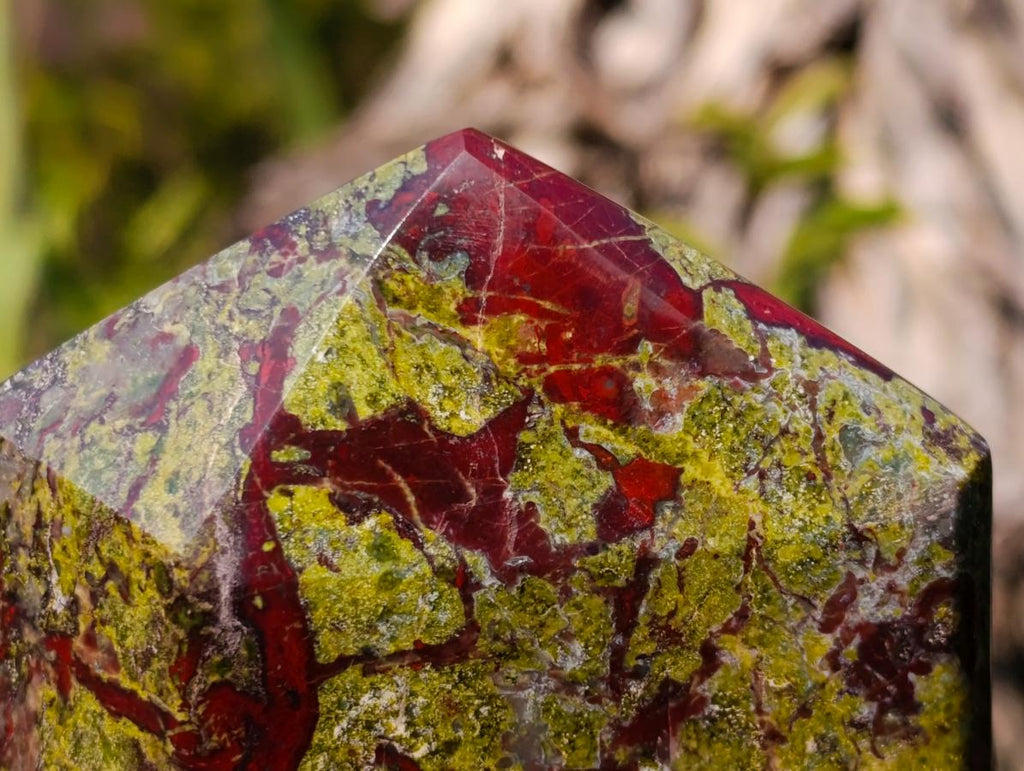 Polished Bastite Dragonsblood Stone Display Crystals x 2 From Tshipise, South Africa