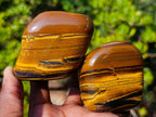 Polished Golden Tigers Eye Free Forms x 6 From Prieska, South Africa