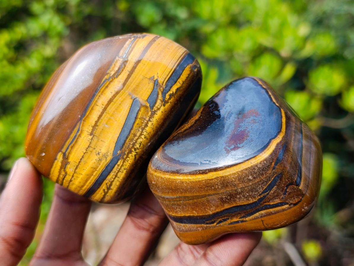Polished Golden Tigers Eye Free Forms x 6 From Prieska, South Africa