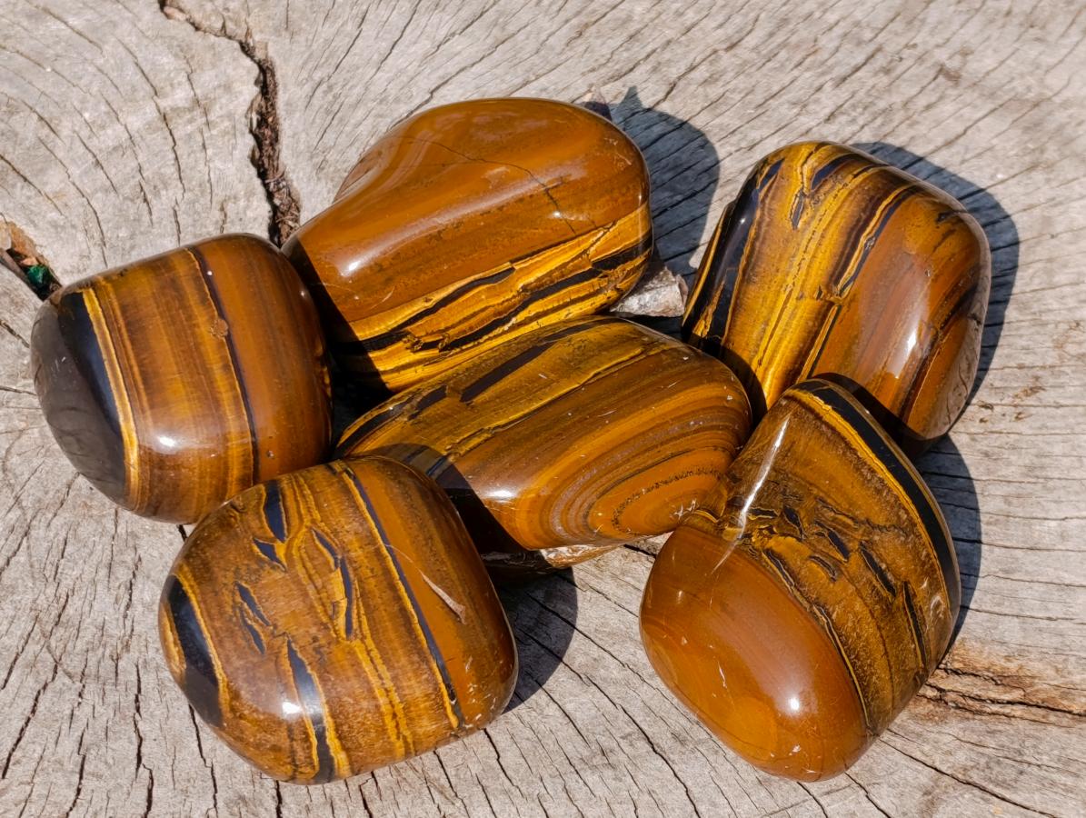 Polished Golden Tigers Eye Free Forms x 6 From Prieska, South Africa