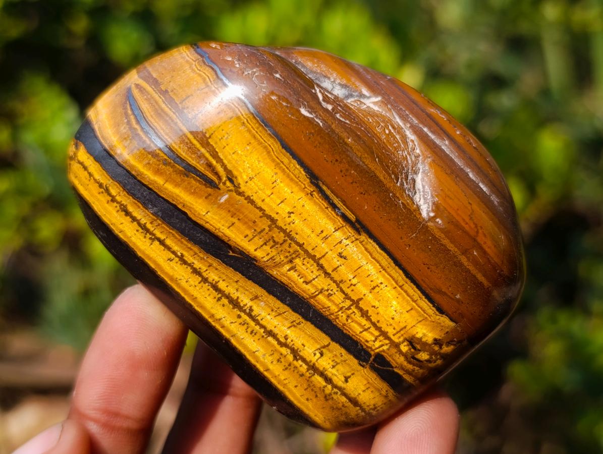 Polished Golden Tigers Eye Free Forms x 6 From Prieska, South Africa
